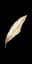 Garuda's Feather
