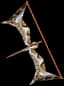 Silver Bow